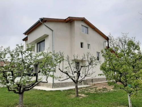 Villa Perun