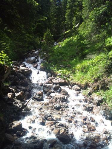 Apartamento Chalet Waldperle