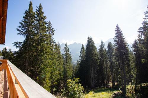 Chalet Soldanella