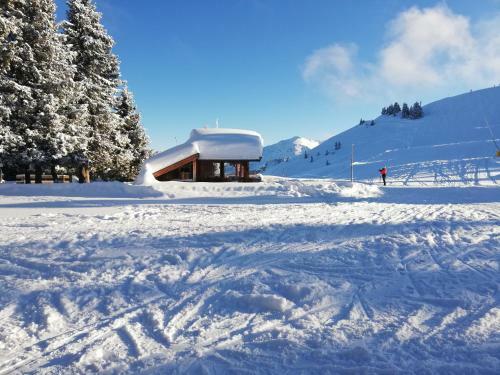 Holzf�llerhaus Melkstatt
