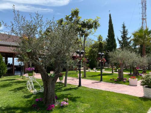 Ardenica Boutique Hotel