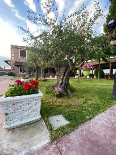 Ardenica Boutique Hotel