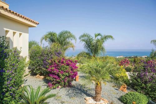 Freedom Villa