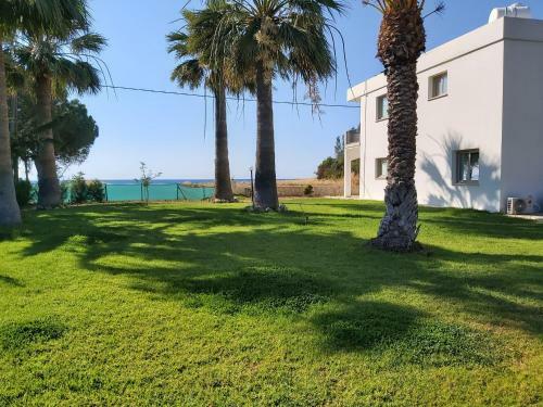 Apartamento Argaka Palm Tree Apts