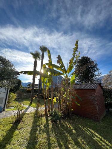 Acona: Casa Mamina A