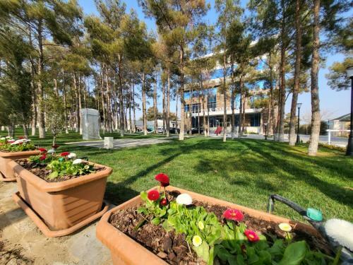 Park Naftalan Hotel
