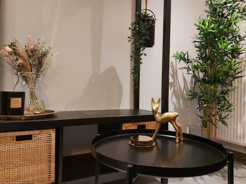 Apartamento Studio Saint-pierre