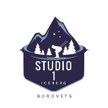 Apartamento Private Studio Borovets With Kitchen And Bathroom