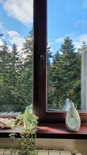 Apartamento Borovets Holiday Homes
