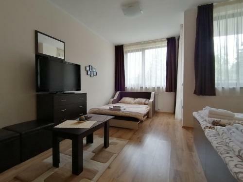 Apartamento Borovets Gardens Studio D36