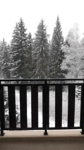 Apartamento Borovets Gardens Studio D36