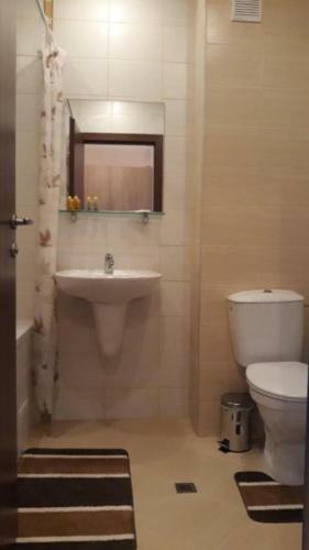 Apartamento Borovets Gardens Studio D36