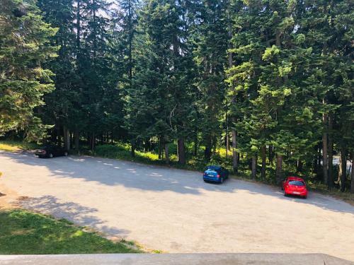 Apartamento Studio Villa Park Premium Gold