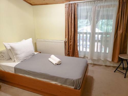 Hostal Guest Rooms- Klepalski House