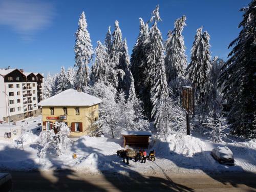Borovets Apartment, Villa Park