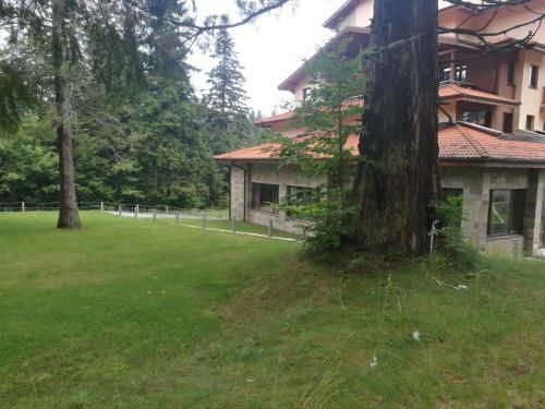 Luxury Apartament In "sequoia" 2