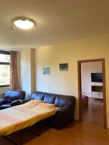 Flora Apartment 613