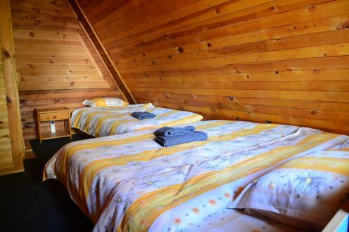 Borovets Gondola Apartment & Ski By Winter Bros