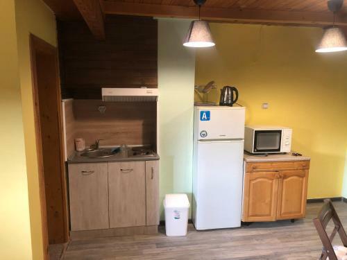 Borovets Gondola Apartment & Ski By Winter Bros