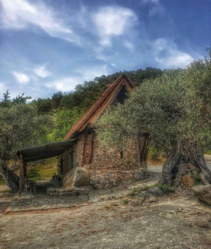 Bed & Breakfast Sophias Cottage