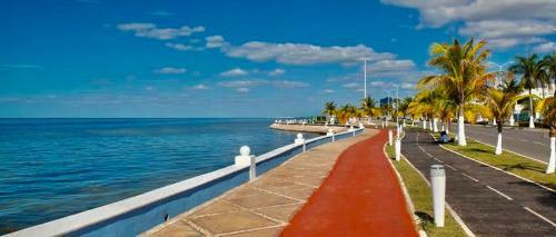 Apartamento La Casa Del Colibr�