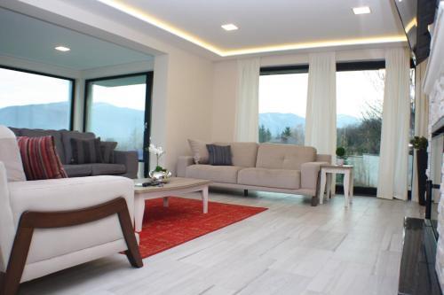 Luxury Villas #1