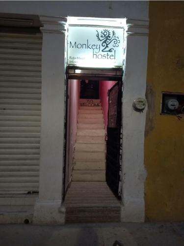 Hostal Hostel Monkey