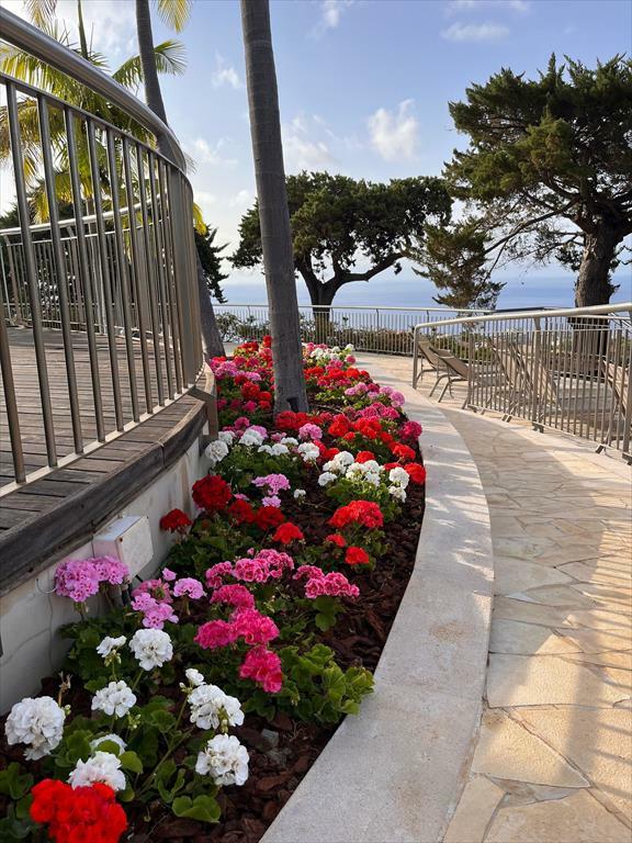 Hotel Quinta Funchal Gardens - Adults Only