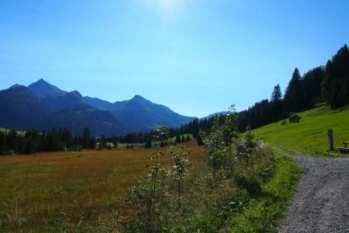 Apartamento Haus Bergwelt