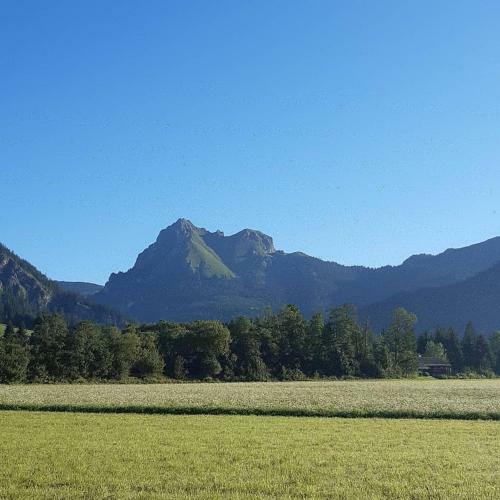 Apartamento G�stehaus W�tzer Und Landhaus Stocka