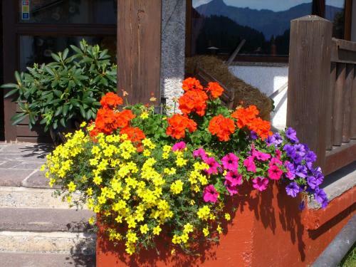 Apartamento G�stehaus W�tzer Und Landhaus Stocka