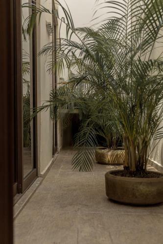 Apartamento Casa Serena Beautiful Colonial Loft