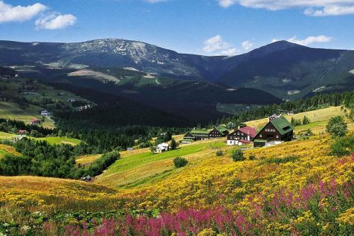 Apartm�ny Eva