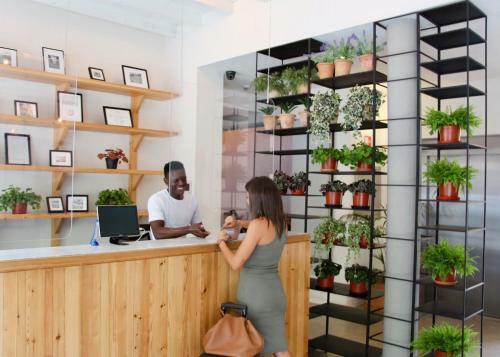 The Boc Hostels - Palma Albergue Juvenil