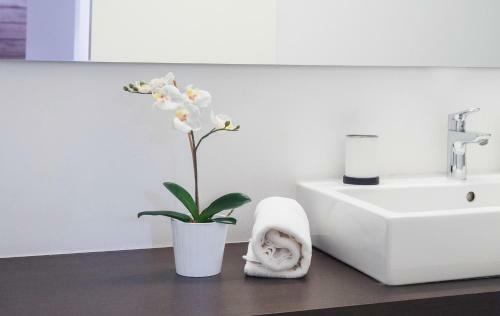 Apartamento Santa Creu