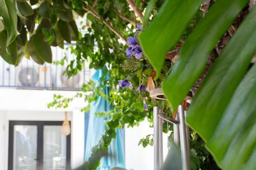 Blue House Portixol Mallorca