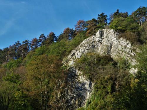 Maison D'engon Charme Calme Nature
