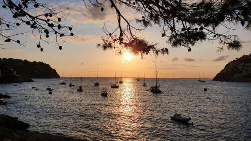 Villa Puerto De Andratx - Acceso Al Mar