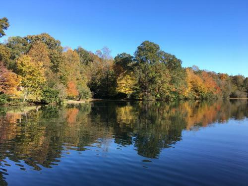 Spring Hill Lake House Apartment