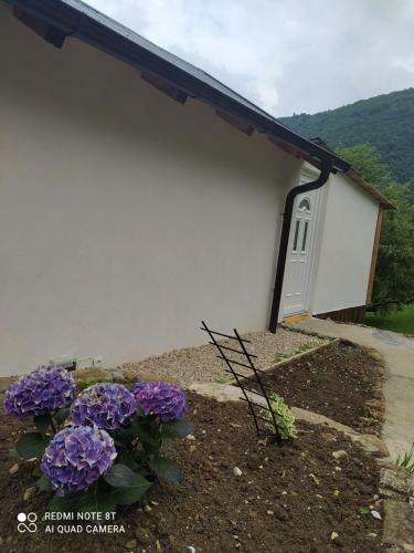 Apartamento Lenilenii Bungalows