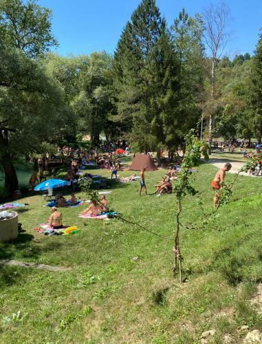 Bra?e D?ubo, Jajce