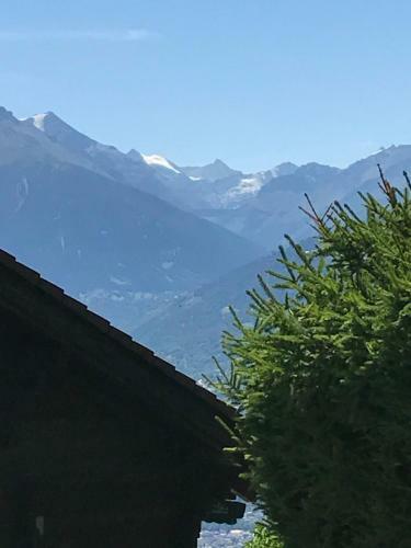 Chalet Siesta