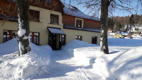 Apartm�n Bed?ichov