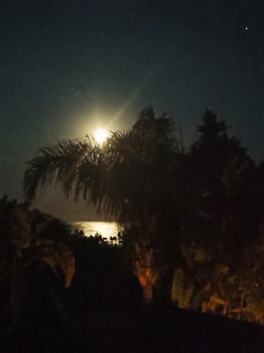 Villa Balinese