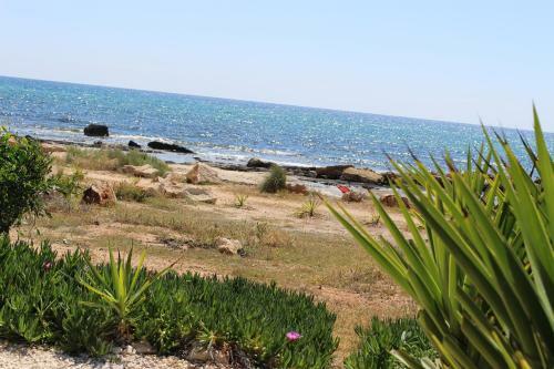 Gorgona Villas