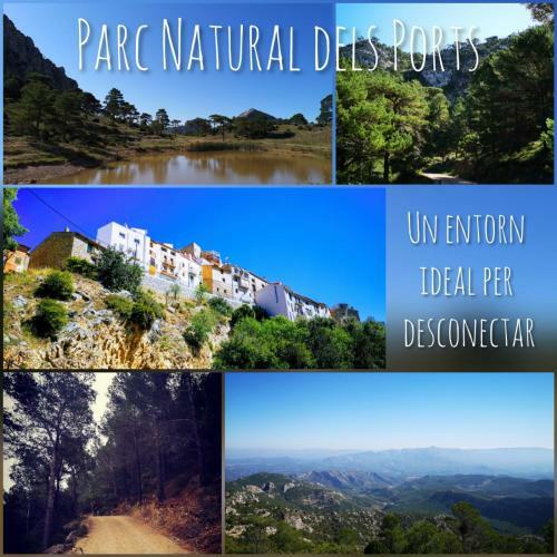 L'antic Forn De Pa�ls