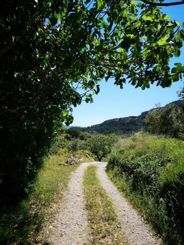 L'antic Forn De Pa�ls