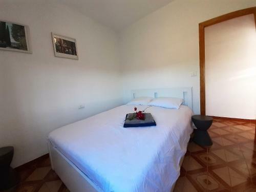 Casa Loro Loco B&B