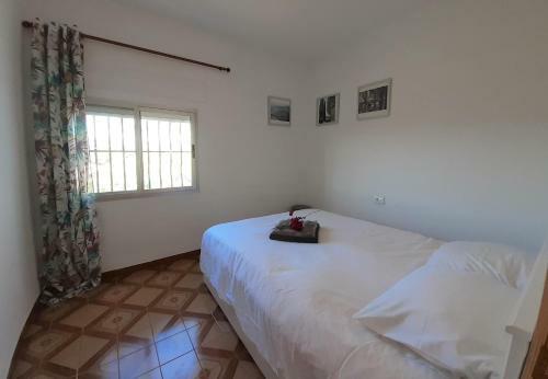 Casa Loro Loco B&B