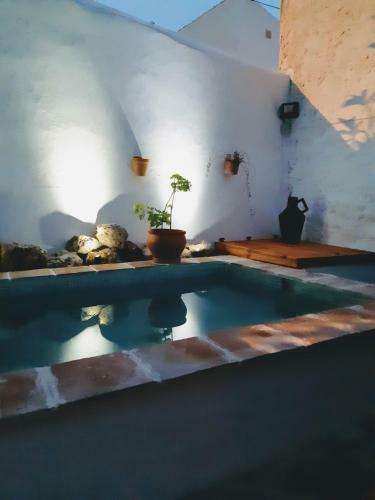 Casa Shyshka Country Cottage